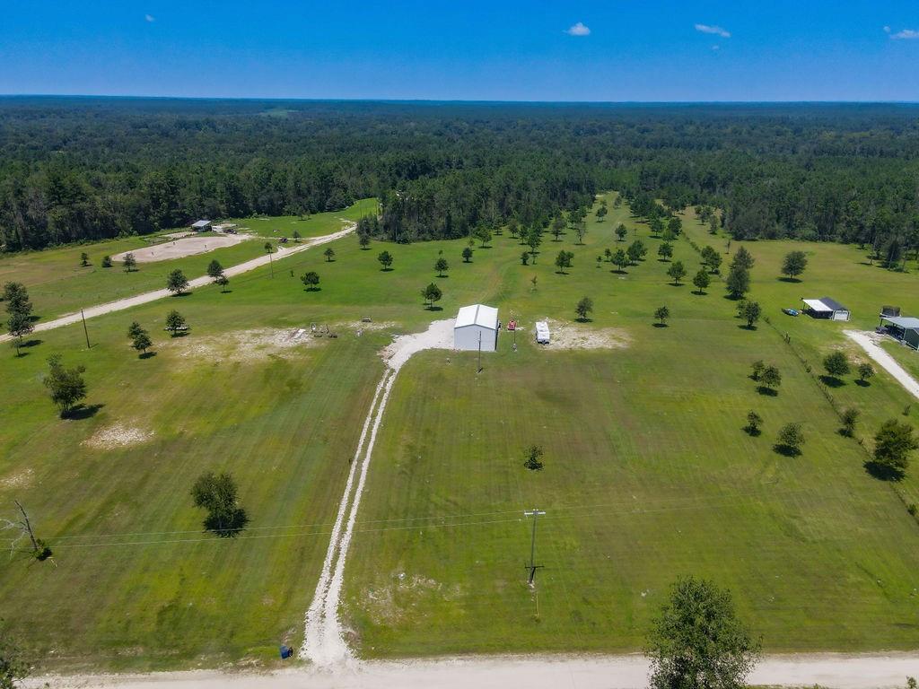 1164 Timber Ranch Road, Apple Springs, Texas image 5