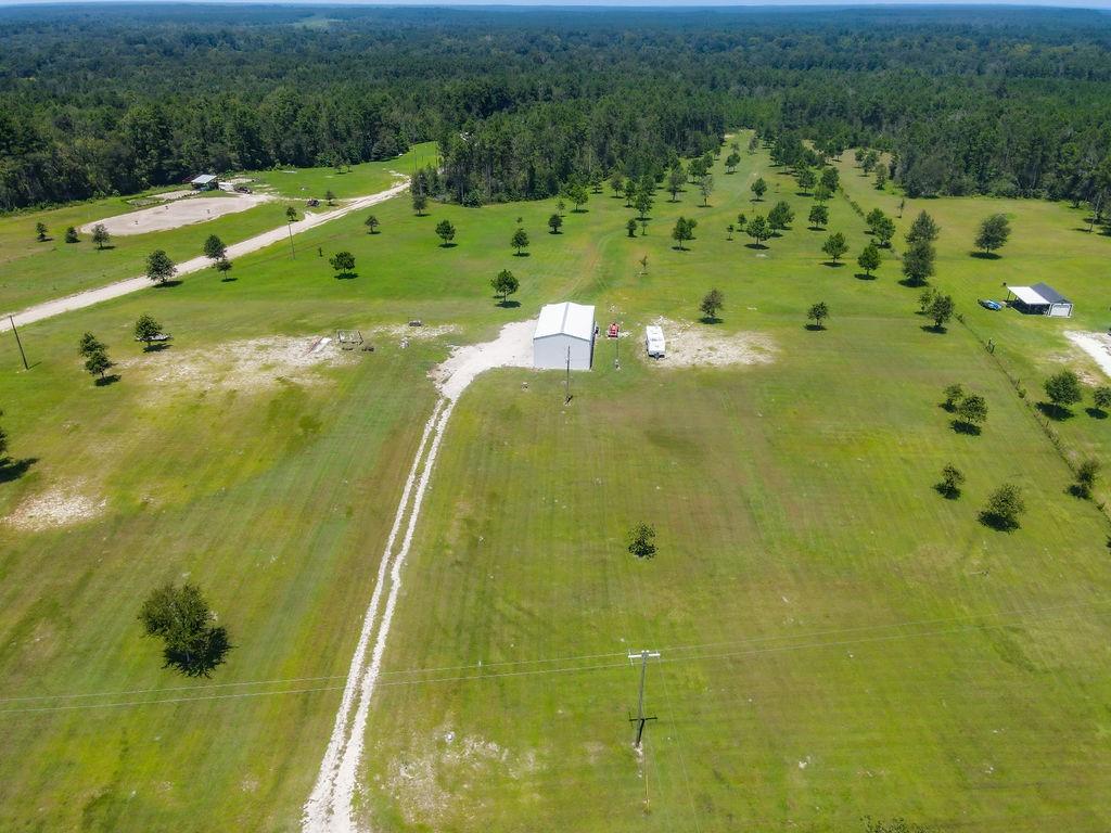 1164 Timber Ranch Road, Apple Springs, Texas image 6