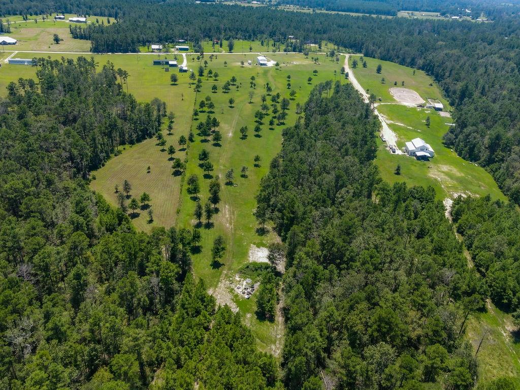 1164 Timber Ranch Road, Apple Springs, Texas image 2