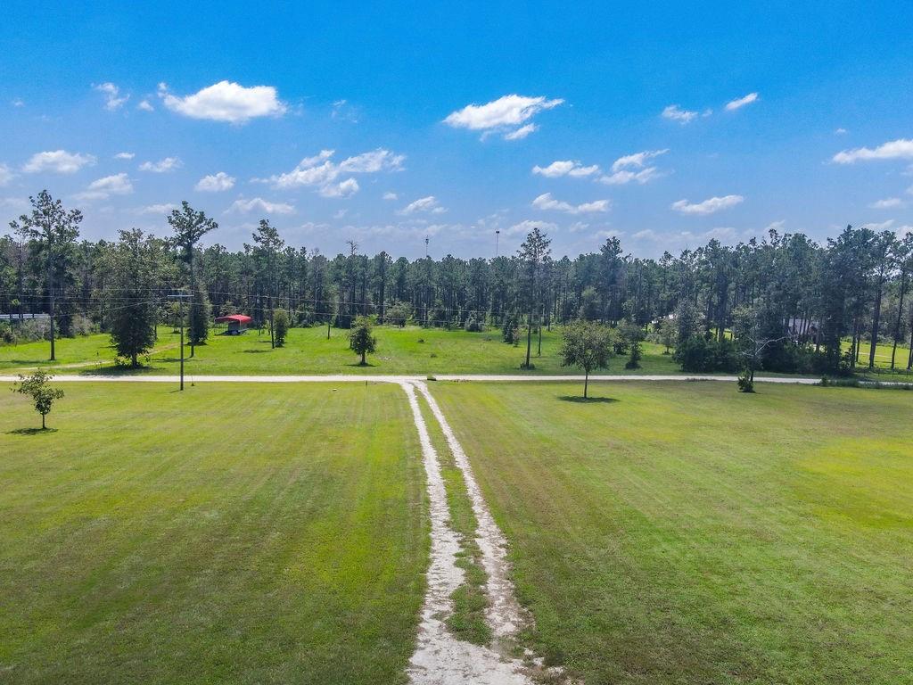 1164 Timber Ranch Road, Apple Springs, Texas image 7