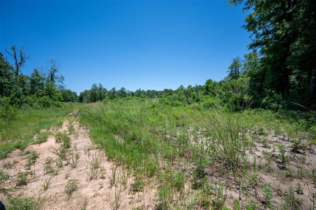 Tbd Cr 3000, Woodville, Texas image 9