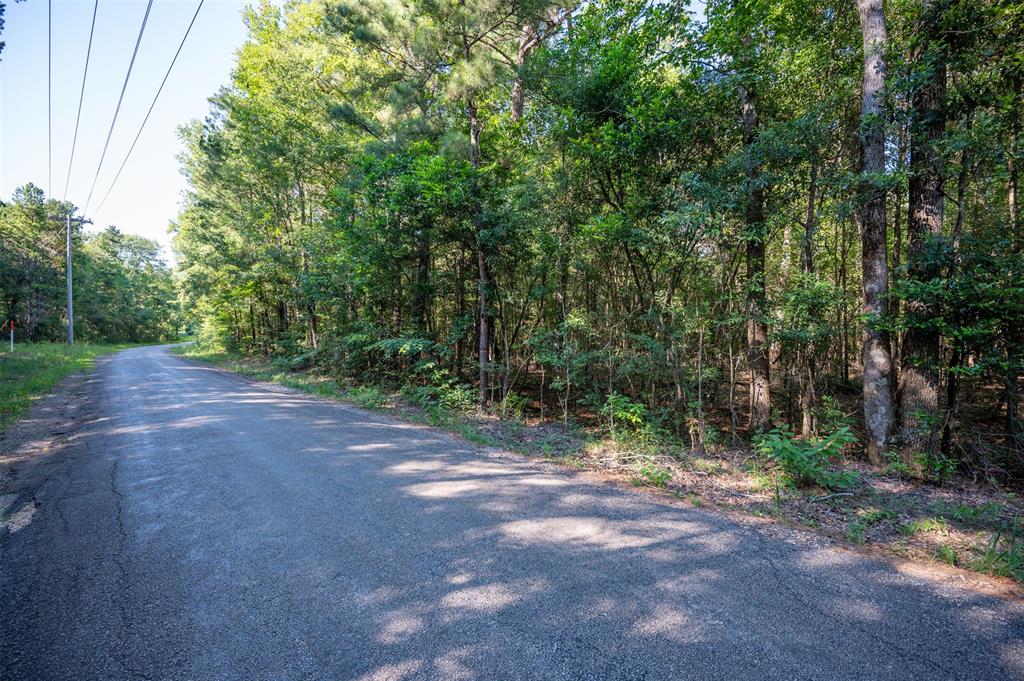 Tbd Cr 3000, Woodville, Texas image 13