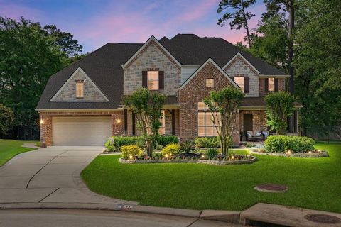11 Dancing Breeze Place The Woodlands TX 77382