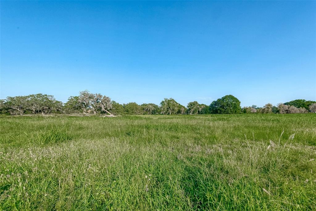 1427 Frontier Trail, Angleton, Texas image 9