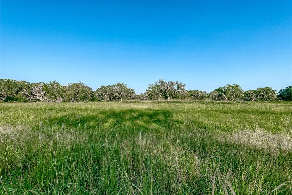 1427 Frontier Trail, Angleton, Texas image 13