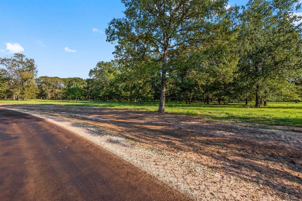 Lot 13 Alans Memorial Lane, New Waverly, Texas image 1