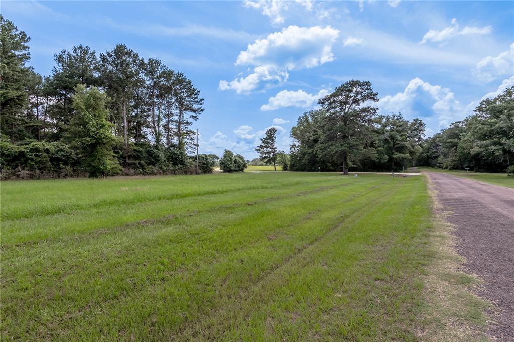 Lot 8 Jamestown Road, Trinity, Texas image 6