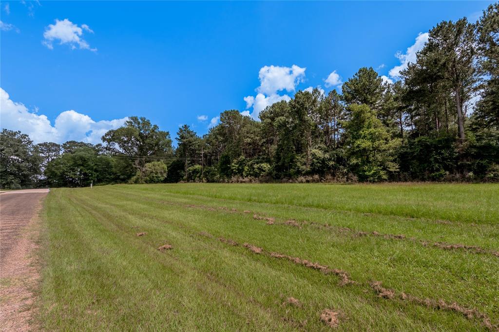 Lot 8 Jamestown Road, Trinity, Texas image 3