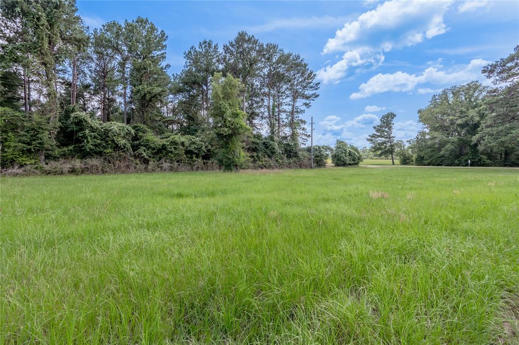 Lot 8 Jamestown Road, Trinity, Texas image 7