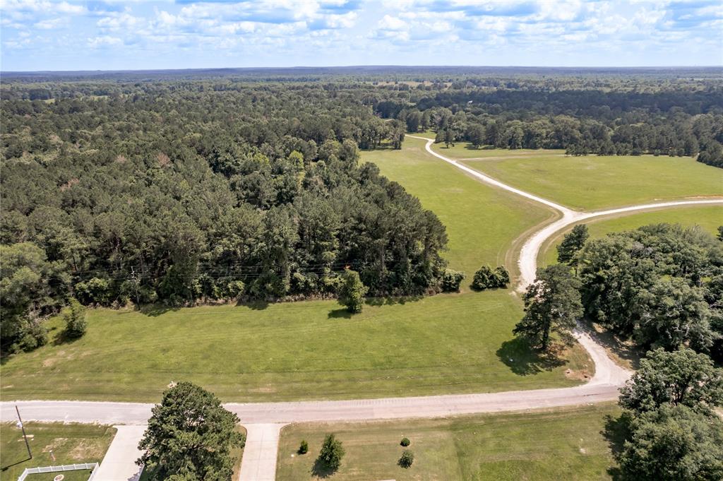 Lot 8 Jamestown Road, Trinity, Texas image 13