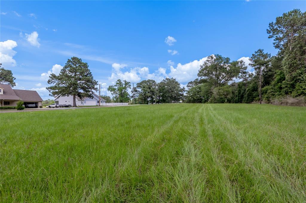 Lot 8 Jamestown Road, Trinity, Texas image 9