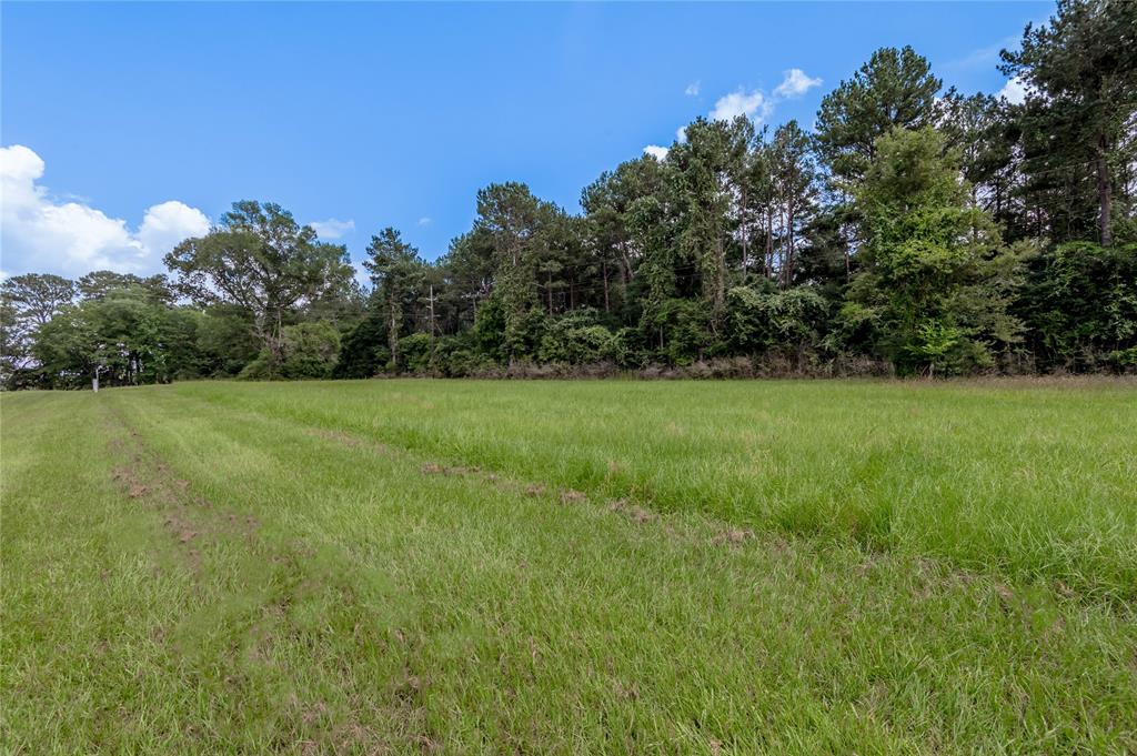 Lot 8 Jamestown Road, Trinity, Texas image 11