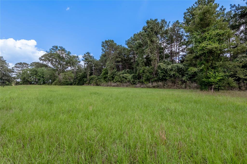 Lot 8 Jamestown Road, Trinity, Texas image 10