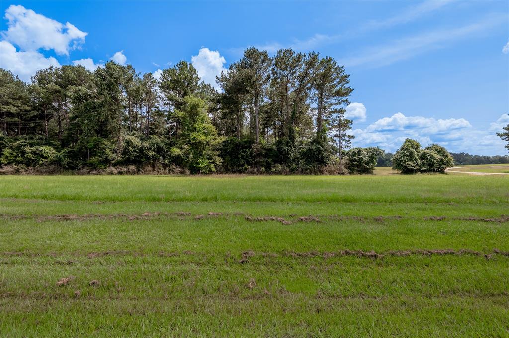 Lot 8 Jamestown Road, Trinity, Texas image 4