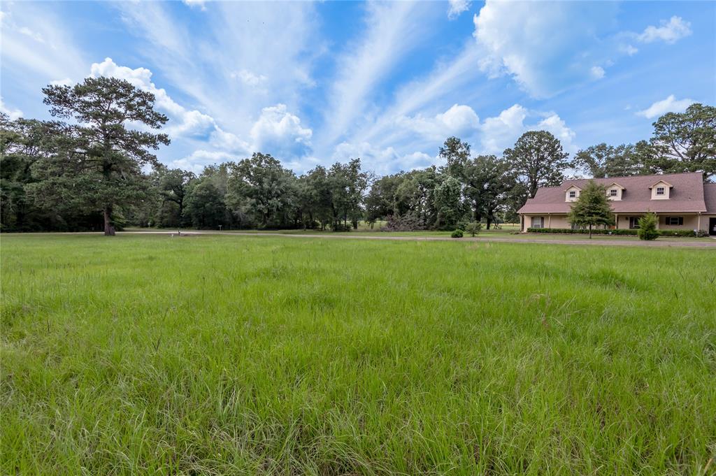 Lot 8 Jamestown Road, Trinity, Texas image 8