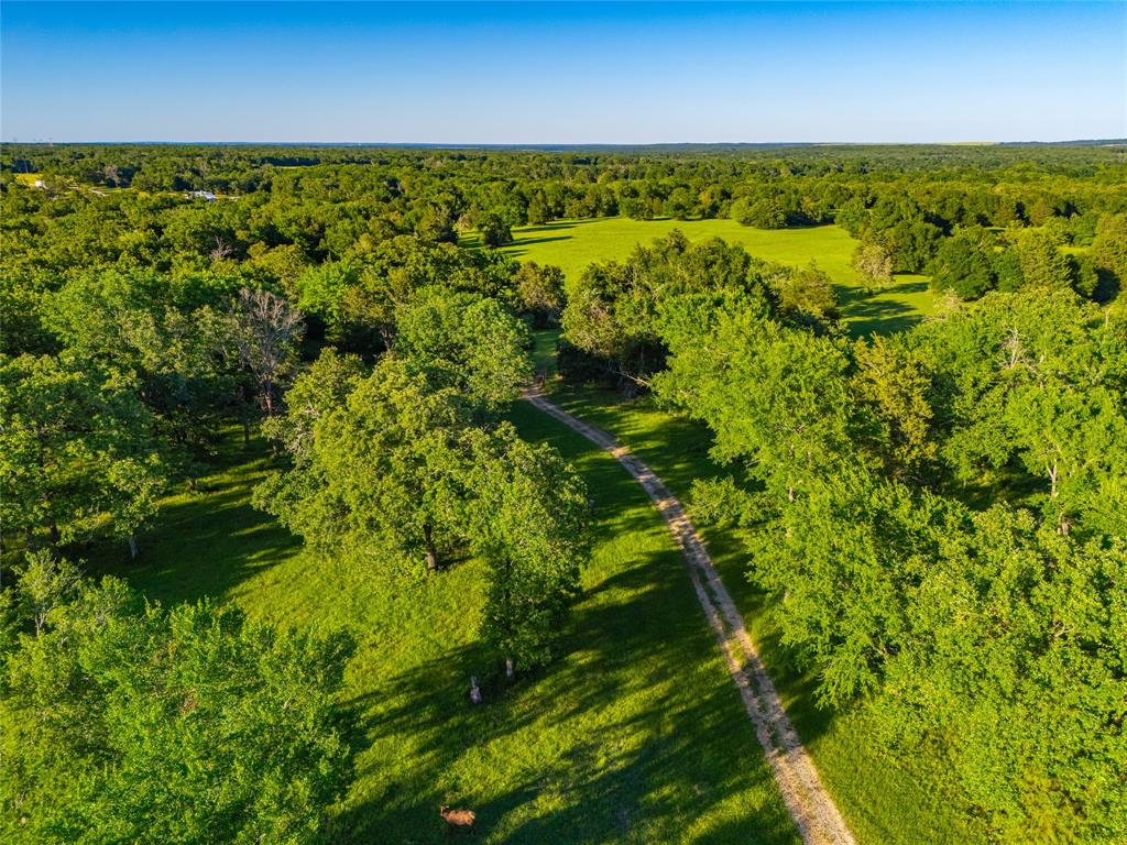 190 Fm 2570, Fairfield, Texas image 37