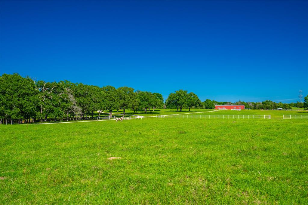190 Fm 2570, Fairfield, Texas image 5