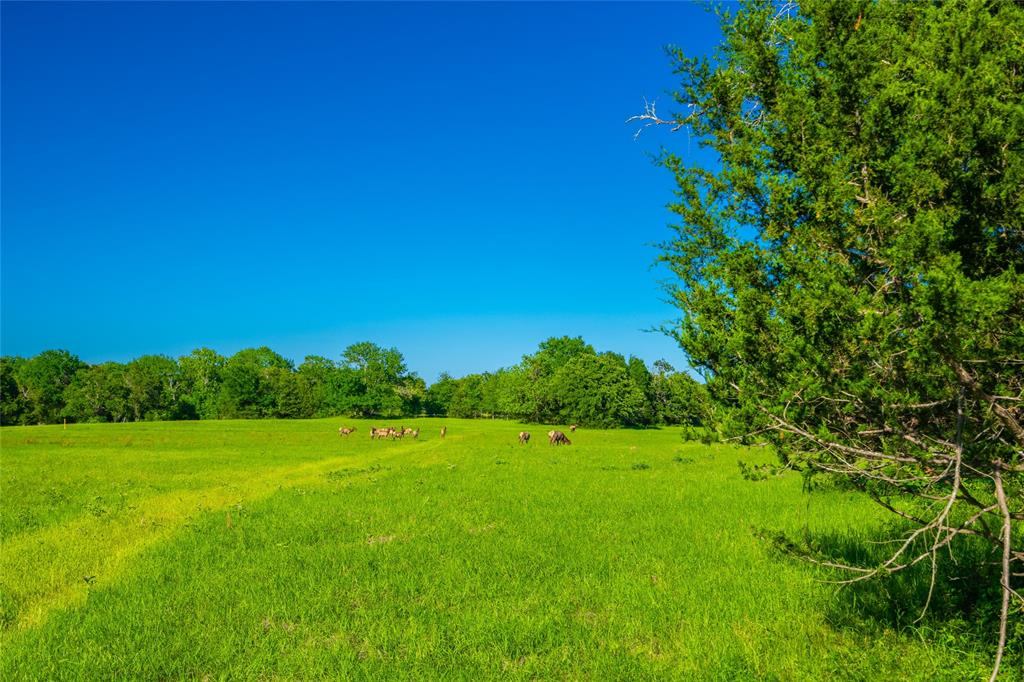 190 Fm 2570, Fairfield, Texas image 11