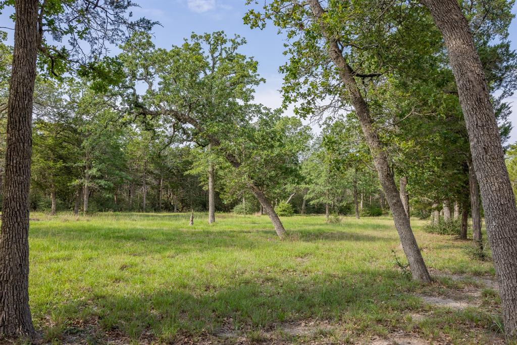 200 Fayetteville Farms, Fayetteville, Texas image 26