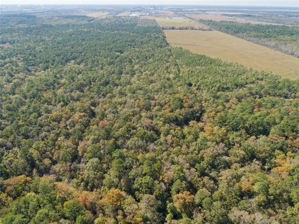 14525 Highway 146 N, Dayton, Texas image 17