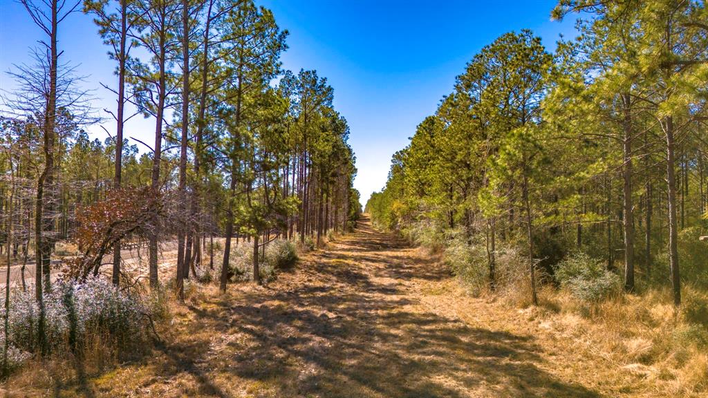 045 S King Ranch Road, Onalaska, Texas image 7