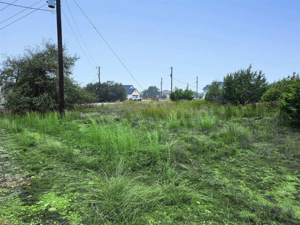 Lot 832 Otto Lange, Blanco, Texas image 7