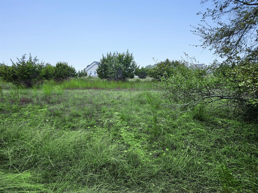 Lot 832 Otto Lange, Blanco, Texas image 8