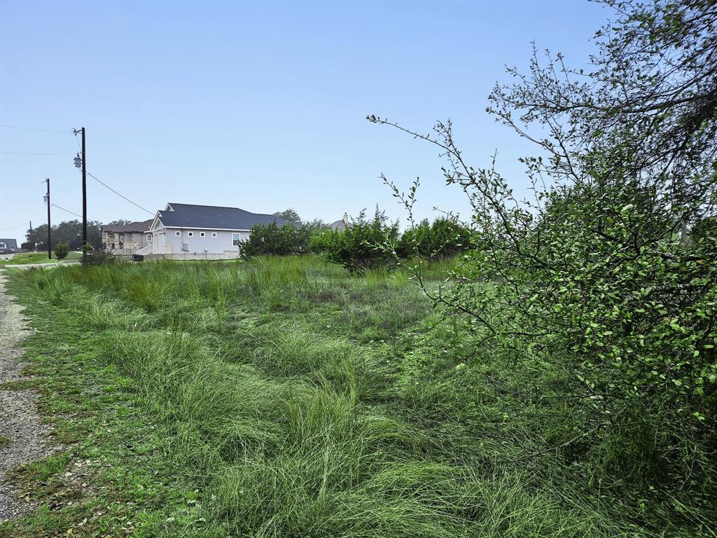 Lot 832 Otto Lange, Blanco, Texas image 6