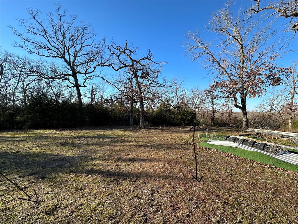 TBD 13 Ac Pr 387 Field, Buffalo, Texas image 7