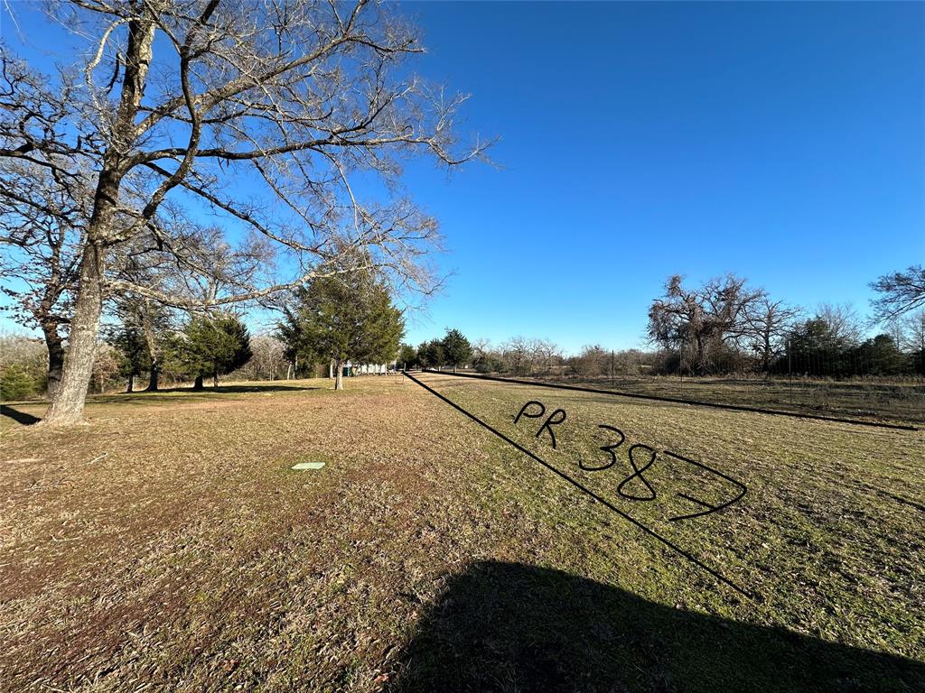 TBD 13 Ac Pr 387 Field, Buffalo, Texas image 6