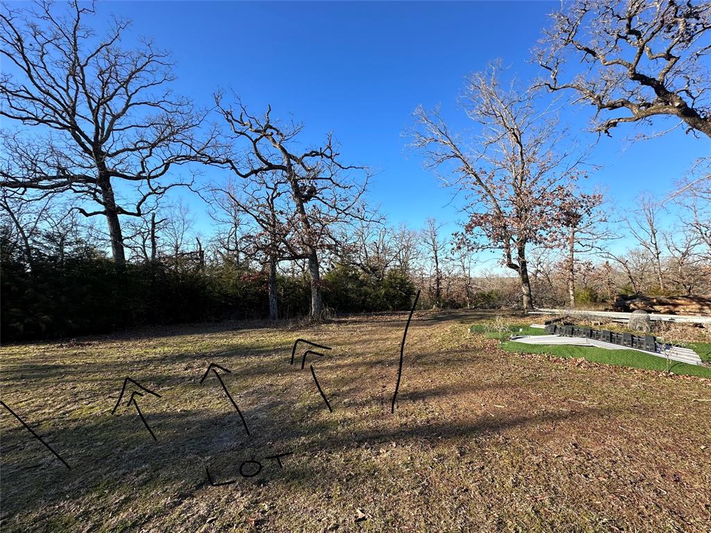 TBD 13 Ac Pr 387 Field, Buffalo, Texas image 8