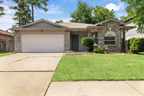 10506 Mist Lane Houston TX 77070