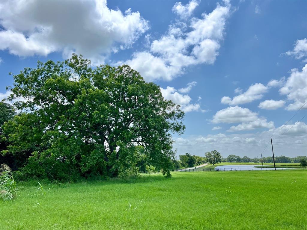 1561 Oevermann Road, Burton, Texas image 4