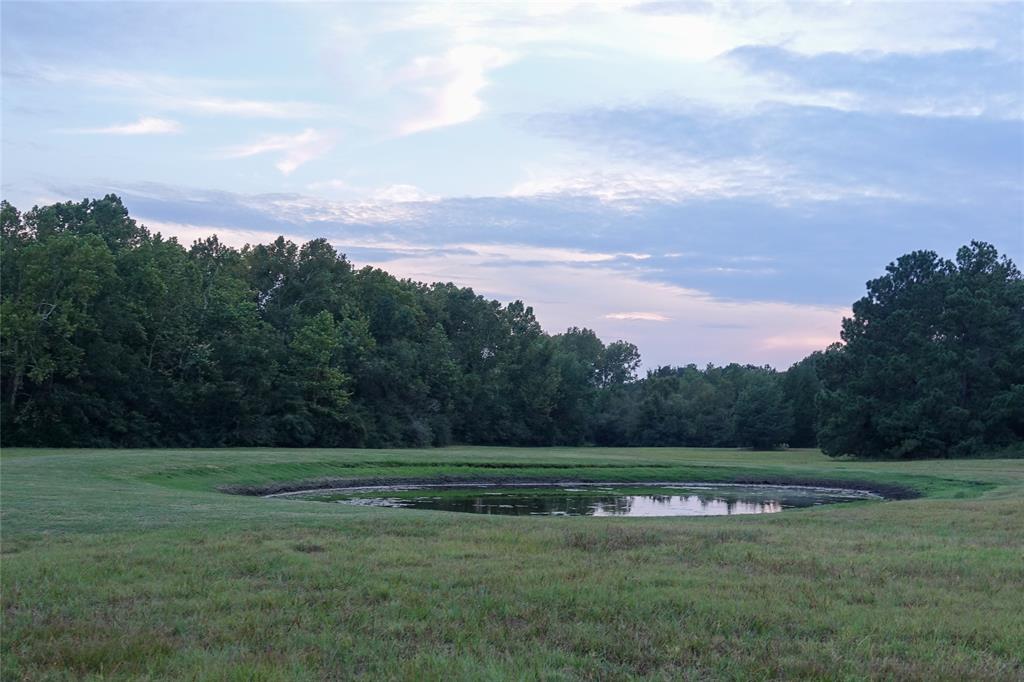 000 Tract #4 Whitehall Ranch Road