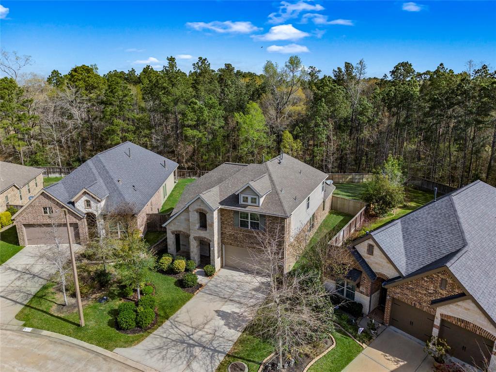 228 Clementine Court, Montgomery, Texas image 45