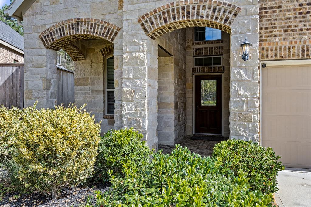 228 Clementine Court, Montgomery, Texas image 6