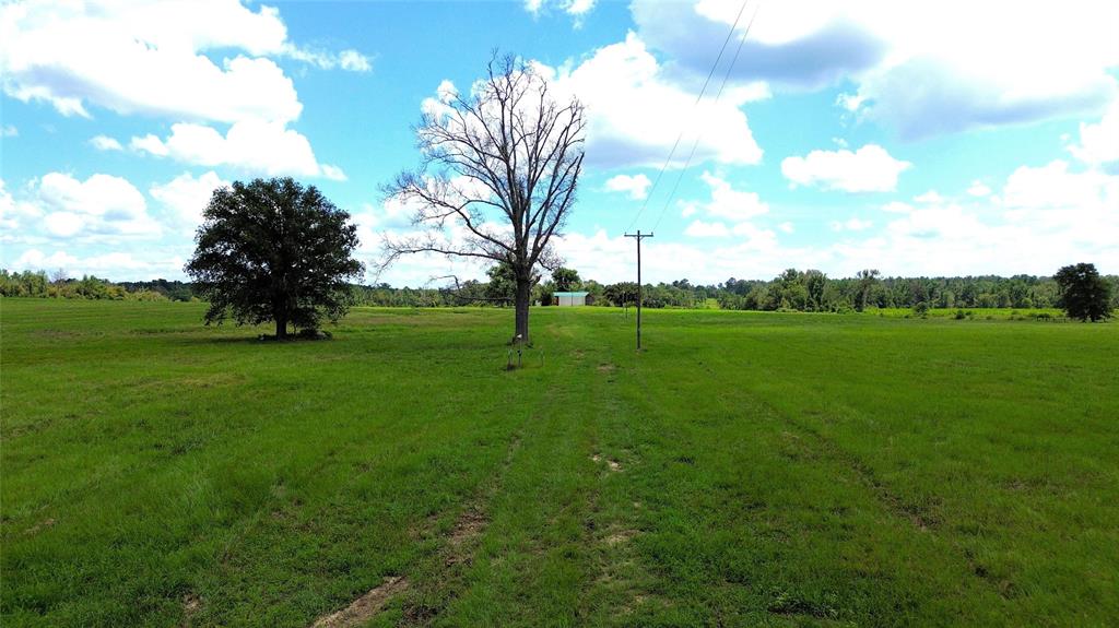 850 Due 2 Road, Apple Springs, Texas image 19