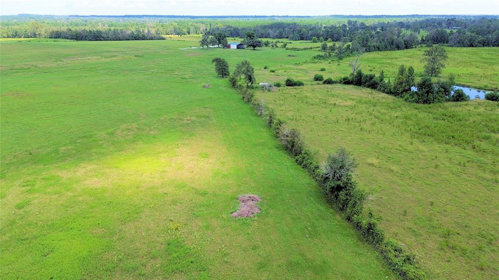 850 Due 2 Road, Apple Springs, Texas image 36