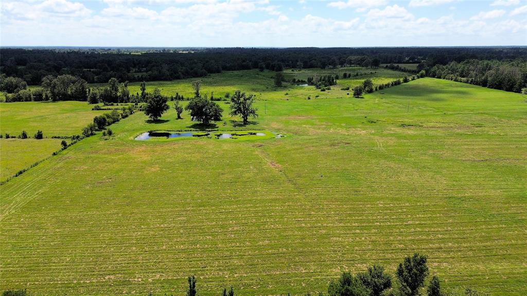 850 Due 2 Road, Apple Springs, Texas image 31