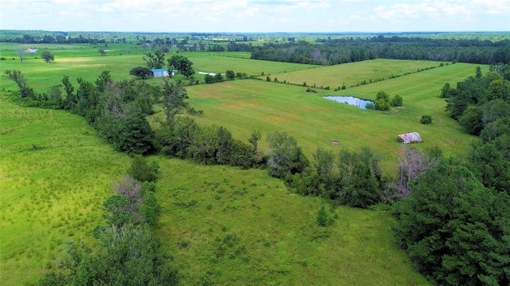 850 Due 2 Road, Apple Springs, Texas image 25