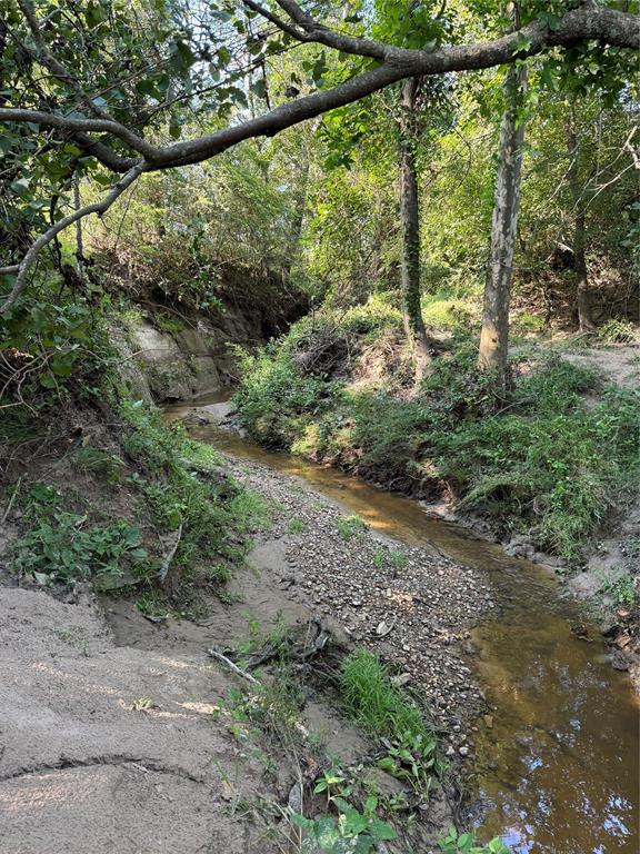 850 Due 2 Road, Apple Springs, Texas image 26