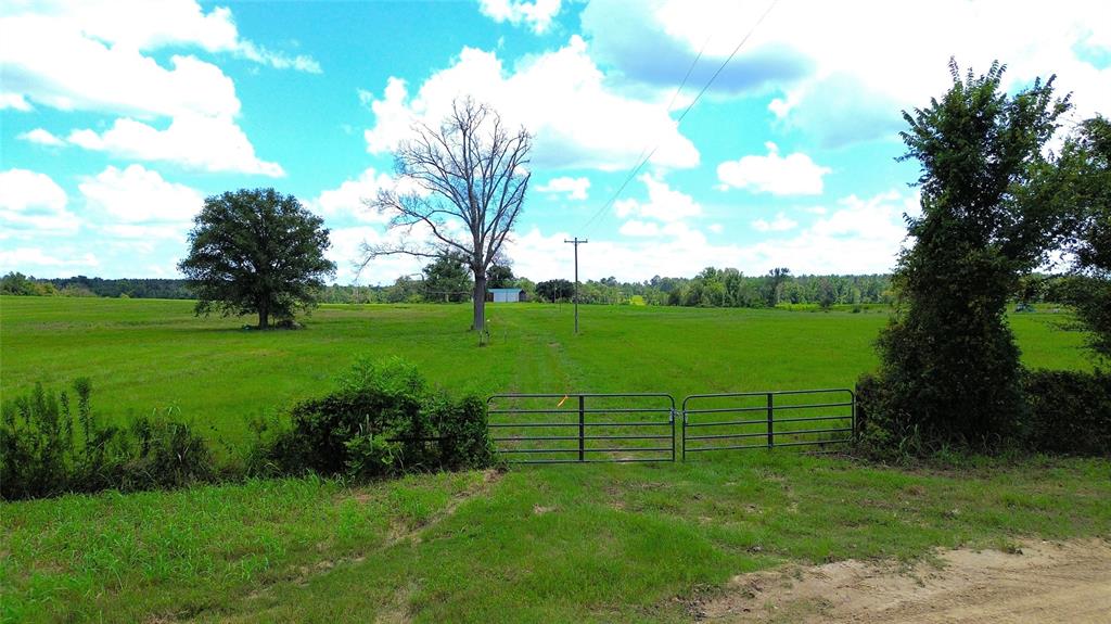 850 Due 2 Road, Apple Springs, Texas image 18