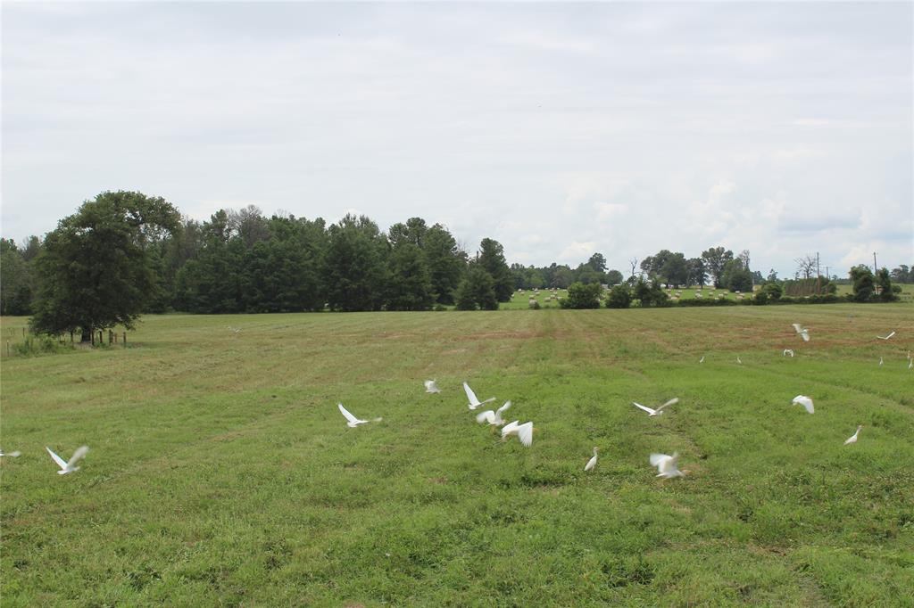 850 Due 2 Road, Apple Springs, Texas image 9