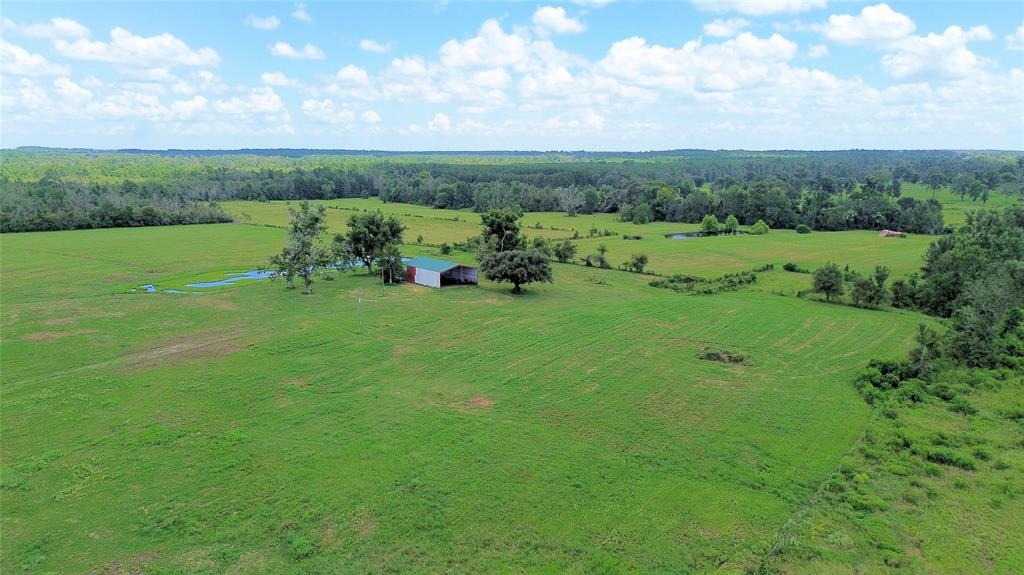 850 Due 2 Road, Apple Springs, Texas image 2