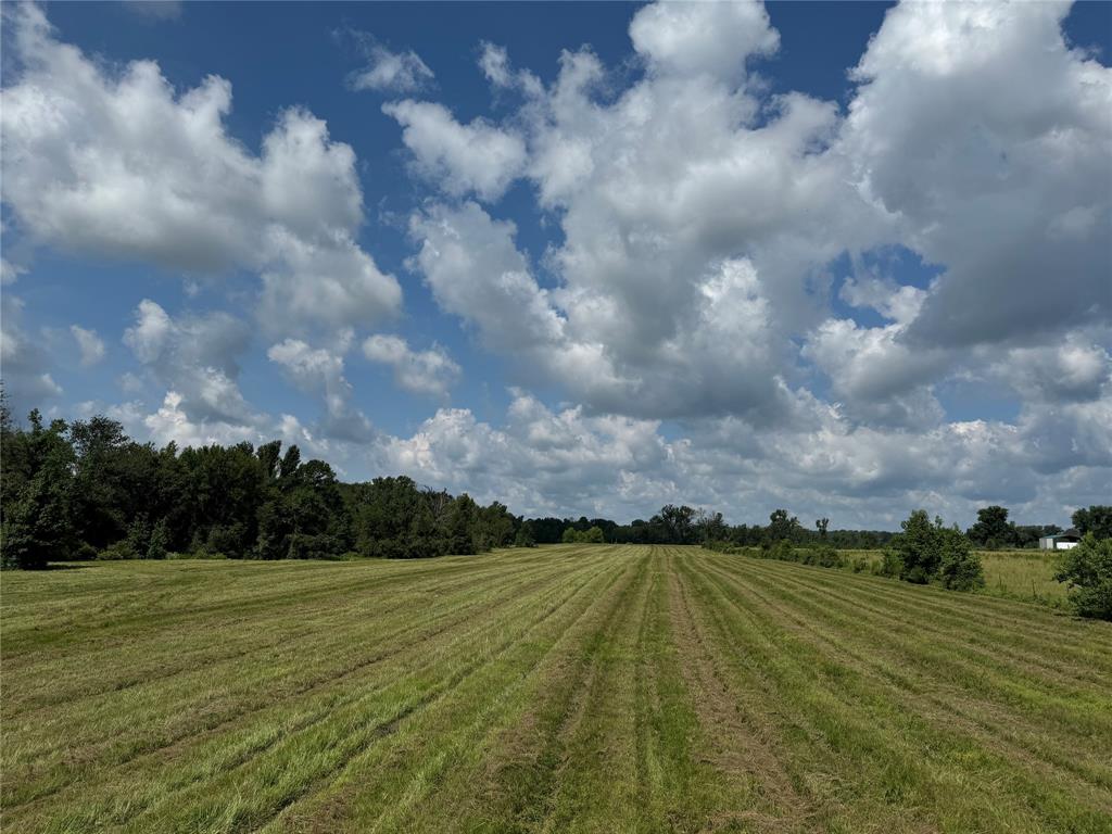 850 Due 2 Road, Apple Springs, Texas image 8