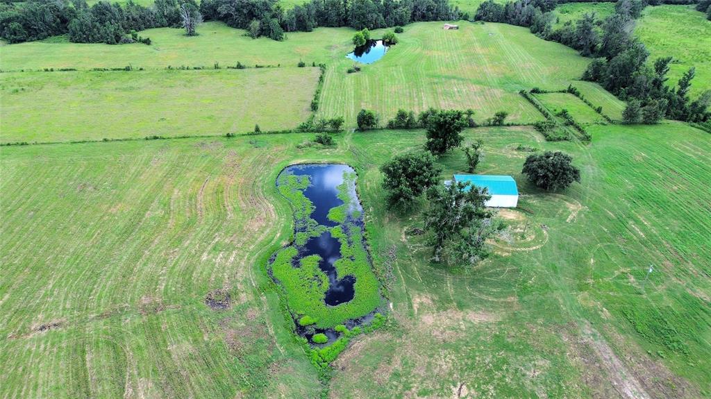 850 Due 2 Road, Apple Springs, Texas image 3