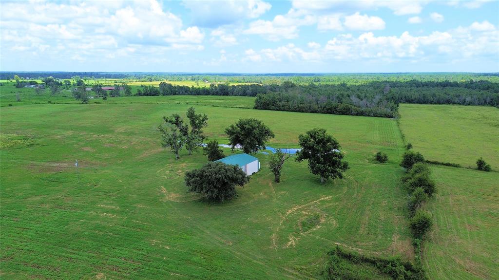 850 Due 2 Road, Apple Springs, Texas image 23