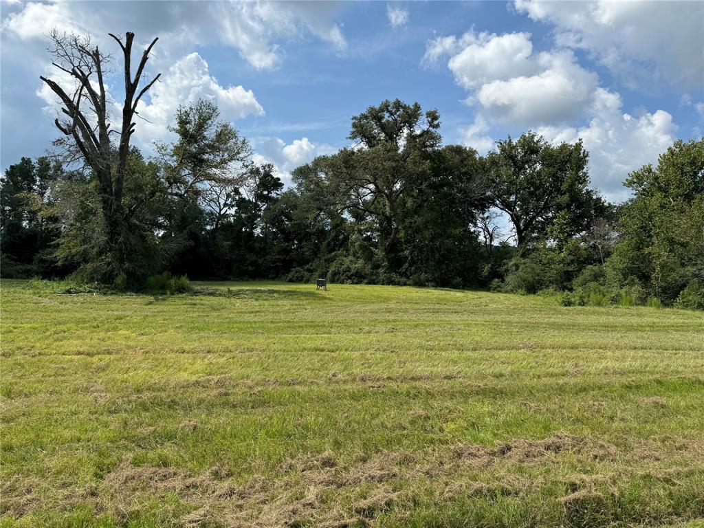 850 Due 2 Road, Apple Springs, Texas image 7