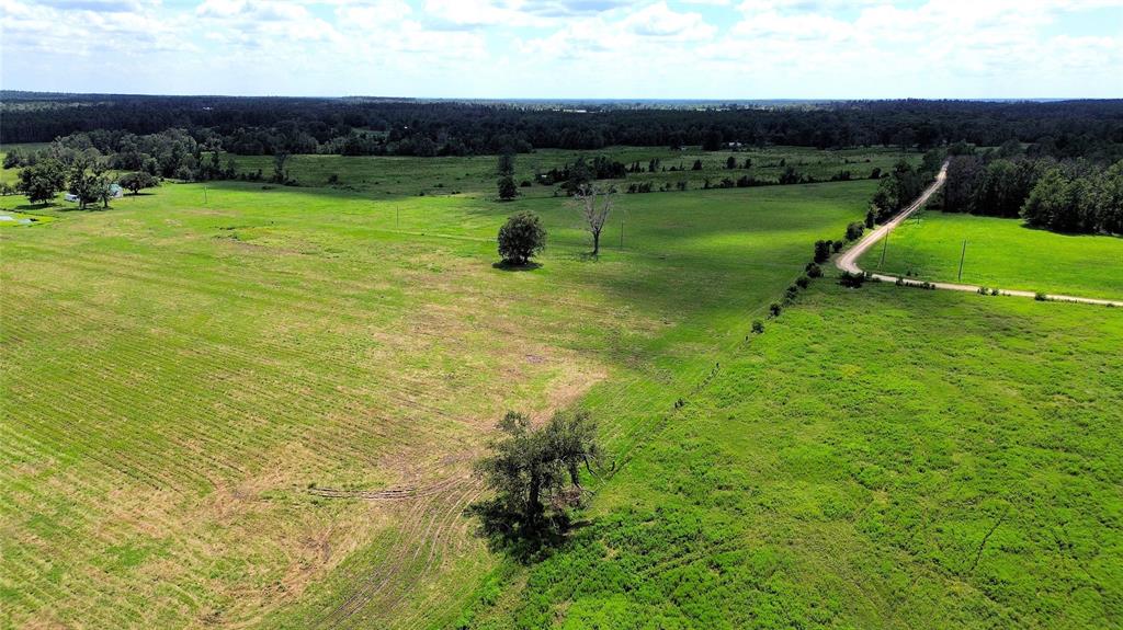 850 Due 2 Road, Apple Springs, Texas image 29