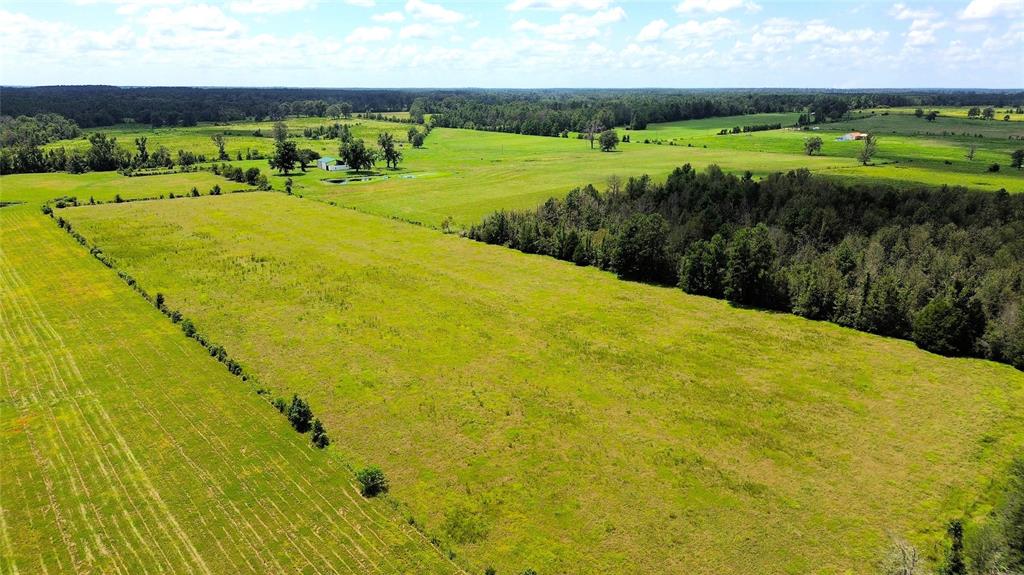 850 Due 2 Road, Apple Springs, Texas image 32